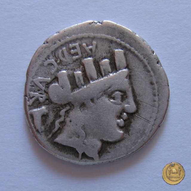 356/1 - denario P. Furius Crassipes 84 BC (Roma)