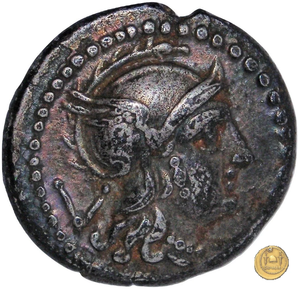 98B/1 211&nbsp;BC (Luceria ?)