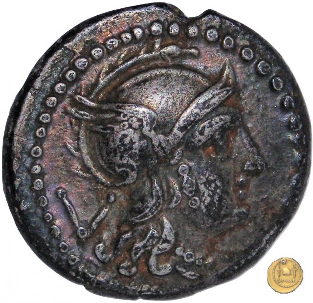 98B/1 211 BC (Luceria ?)