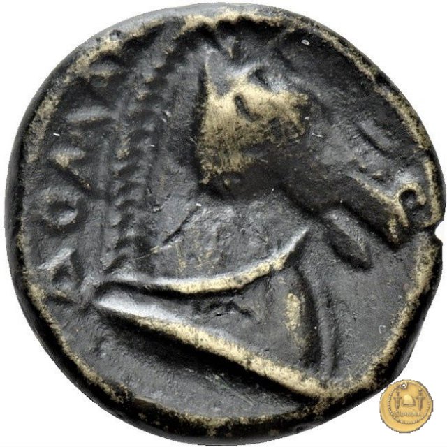 17/1 260 BC (Roma)