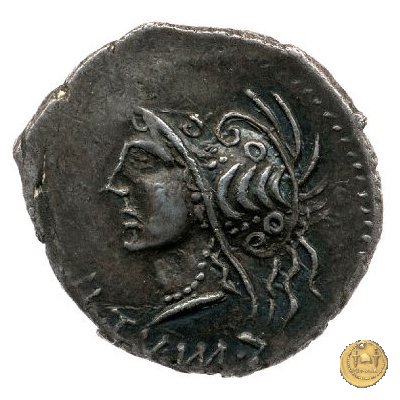 11 - Guerriero e toro 89-88 BC (Aesernia ?) 11 - Guerriero e toro 89-88 BC (Aesernia ?)
