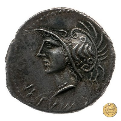 11 - Guerriero e toro 89-88 BC (Aesernia ?) 11 - Guerriero e toro 89-88 BC (Aesernia ?)