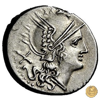 125/1 - denario Q. Lutatius Catulus (o Cerco) 206-200 a.C.