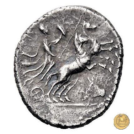 12 - Minerva su biga 88-87 BC (Campania ?) 12 - Minerva su biga 88-87 BC (Campania ?)