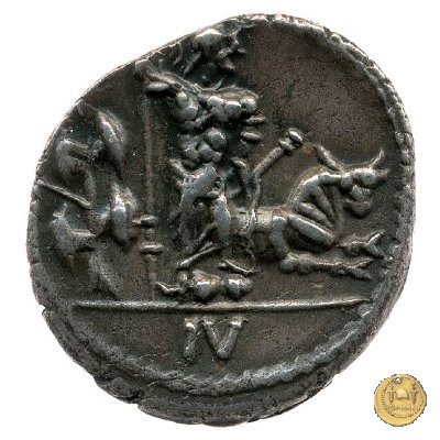 14 - Guerriero, toro e trofeo 88-87 BC (Campania ?) 14 - Guerriero, toro e trofeo 88-87 BC (Campania ?)