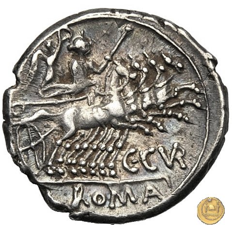 223/1 - denario C. Curiatius Trigeminus 142 a.C. (Roma)