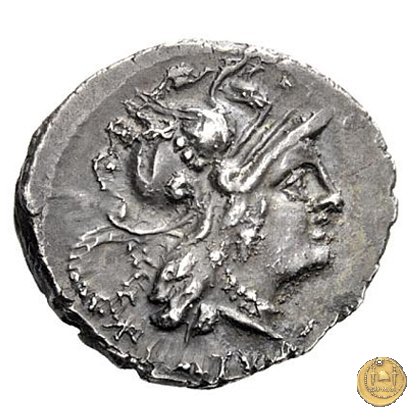 2a - Dioscuri impennati 90 a.C. (Corfinium) 2a - Dioscuri impennati 90 a.C. (Corfinium)