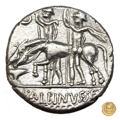 335/10 - denario A. Postumius Sp.f. Albinus 96-92 a.C. (Roma)