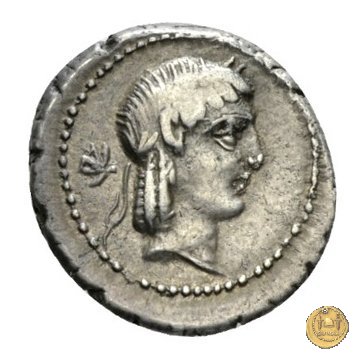 340/2 - quinario L. Calpurnius Piso Frugi 90 a.C. (Roma)