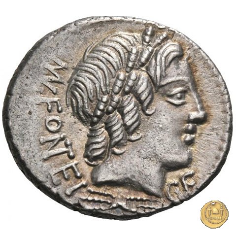 353/1 - denario Mn. Fonteius C.f. 85 a.C. (Roma)