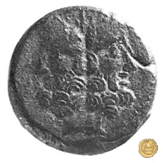 353/3 - asse Mn. Fonteius C.f. 85 a.C. (Roma)