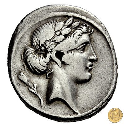 410/6 - denario Q. Pomponius Musa 66 a.C. (Roma)