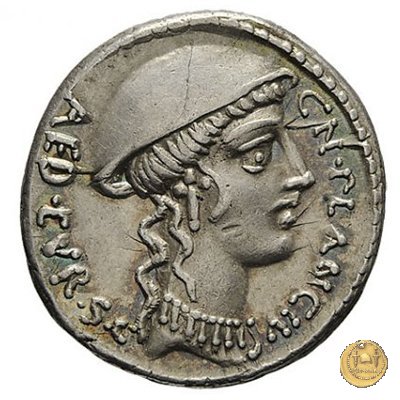 432/1 - denario Cn. Plancius 55 a.C. (Roma)