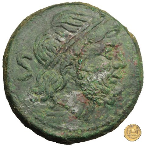 43/2b - Semisse 214-212 a.C. (Luceria)