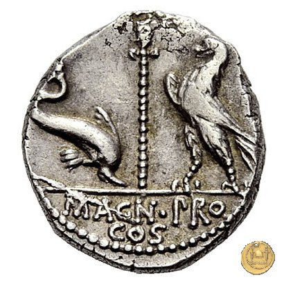 447/1 - denario Cn. Pompeius Magnus / Terentius Varro 49 a.C. (Itinerante con Pompeius)