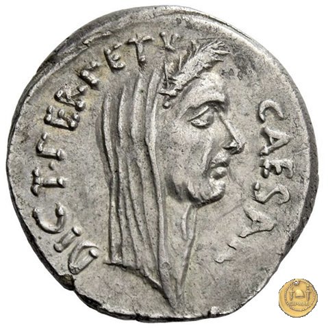 480/12 - denario C. Iulius Caesar / P. Sepullius Macer 44 a.C. (Roma)