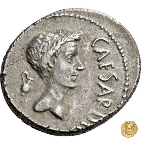 488/1 - denario M. Antonius 43 a.C. (Gallia Trans- Cisalpina)