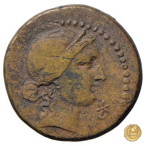 550/2 - bronzo Q. Oppius 88 BC (Laodiceia)