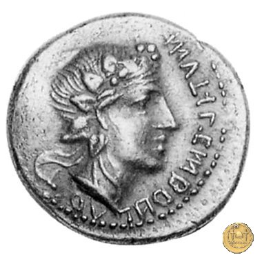 6a - Toro e lupa a destra 90 BC (Campania) 6a - Toro e lupa a destra 90 BC (Campania)