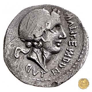 6b - Toro e lupa a sinistra 90 BC (Campania) 6b - Toro e lupa a sinistra 90 BC (Campania)