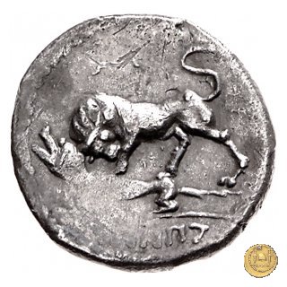 6b - Toro e lupa a sinistra 90 BC (Campania) 6b - Toro e lupa a sinistra 90 BC (Campania)