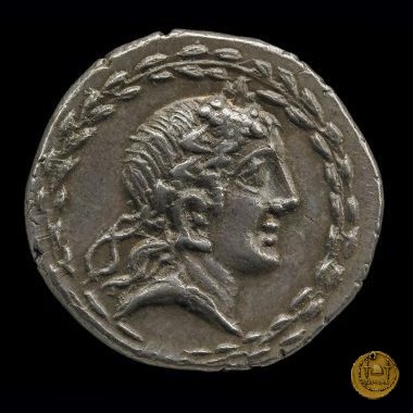6c - Toro e lupa (ghirlanda) 90 BC (Corfinium) 6c - Toro e lupa (ghirlanda) 90 BC (Corfinium)