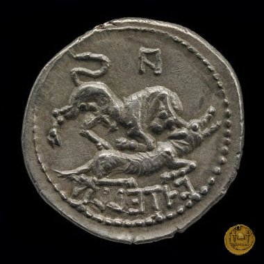 6c - Toro e lupa (ghirlanda) 90 BC (Corfinium) 6c - Toro e lupa (ghirlanda) 90 BC (Corfinium)