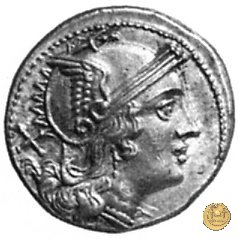 74/1 - denario C. Terentius Varro 209-208 a.C. (Sicilia)