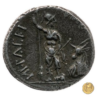 9a - Guerriero e toro 89 BC (Aesernia ?) 9a - Guerriero e toro 89 BC (Aesernia ?)